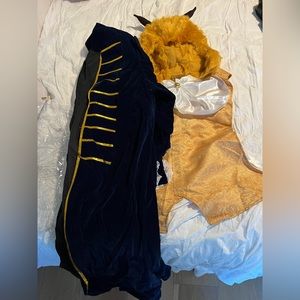 Beast Costume from Beauty and the Beast